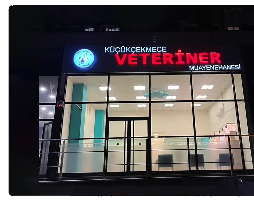 Küçükçekmece Veteriner Kliniği